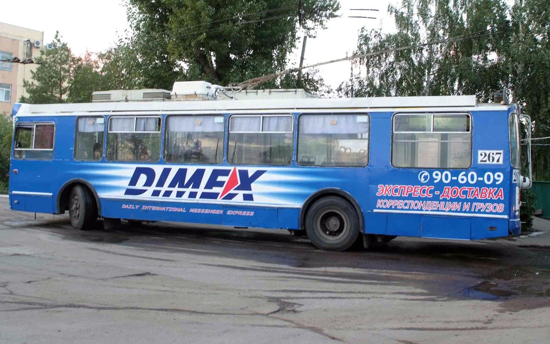 Dimex
